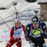 Vm i skiskyting online